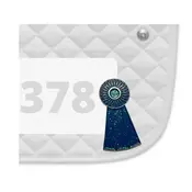 Dubois Cheval DBC Number Pin Charm