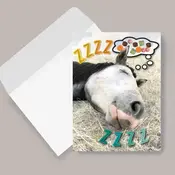 Horse Hollow Horse Hollow Press Cards - Single