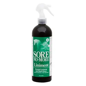Sore No-More SORE NO-MORE Liniment 16oz