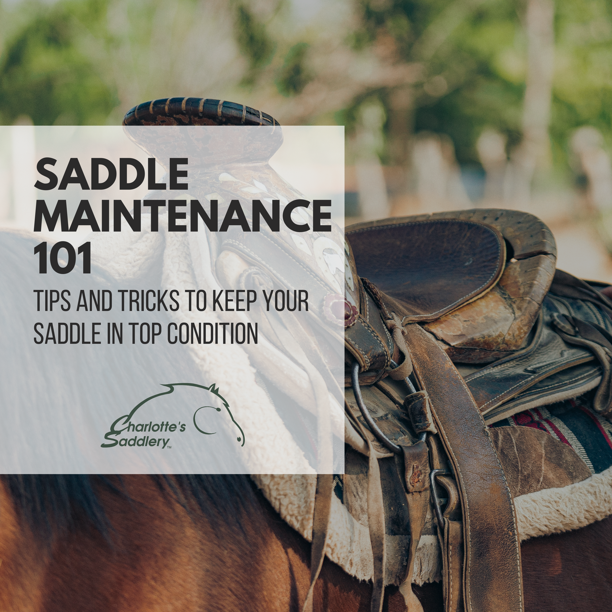 Saddle Maintenance 101