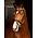 LeMieux LeMieux Arika Flash Bridle