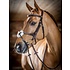 LeMieux LeMieux Kudos Grackle Bridle