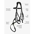 LeMieux LeMieux Kudos Grackle Bridle