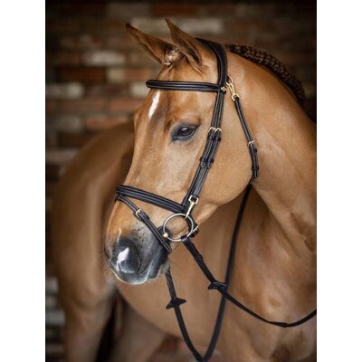 LeMieux LeMieux Kudos Work Bridle