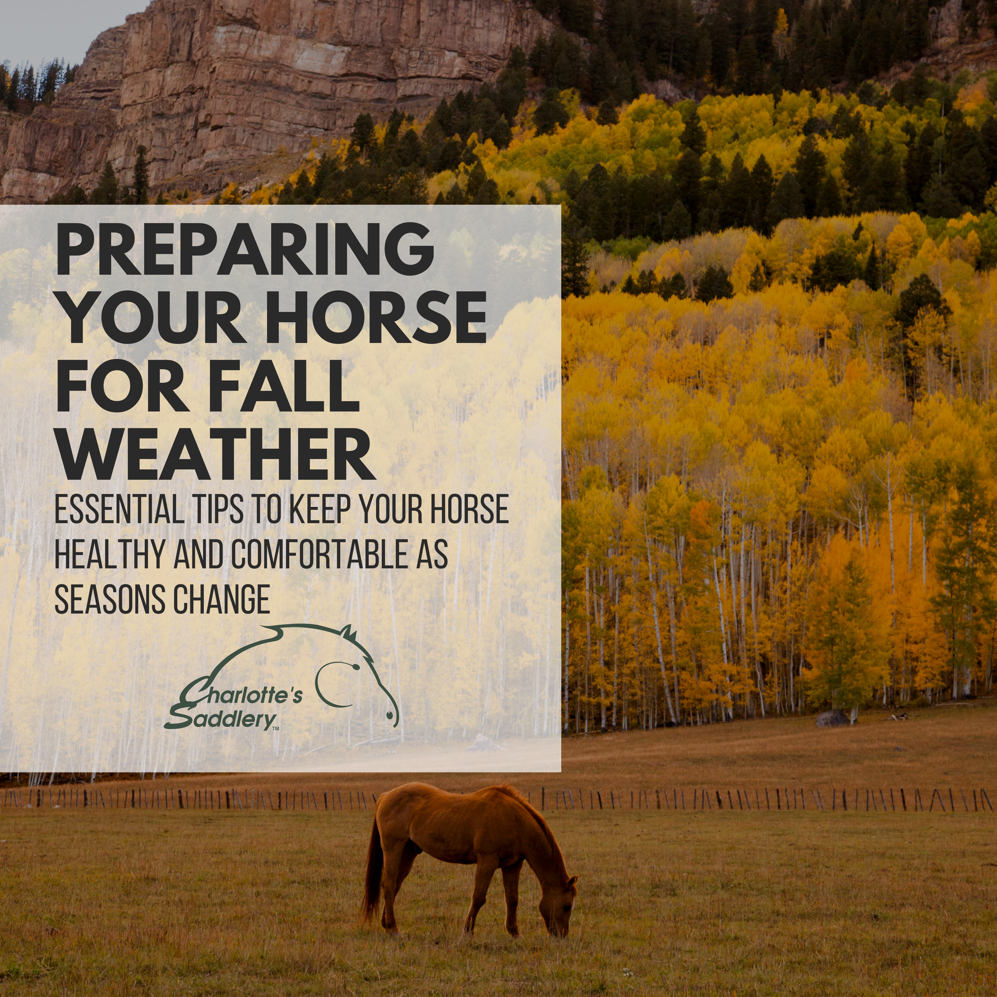 Preparing Your Horse for Fall Weather