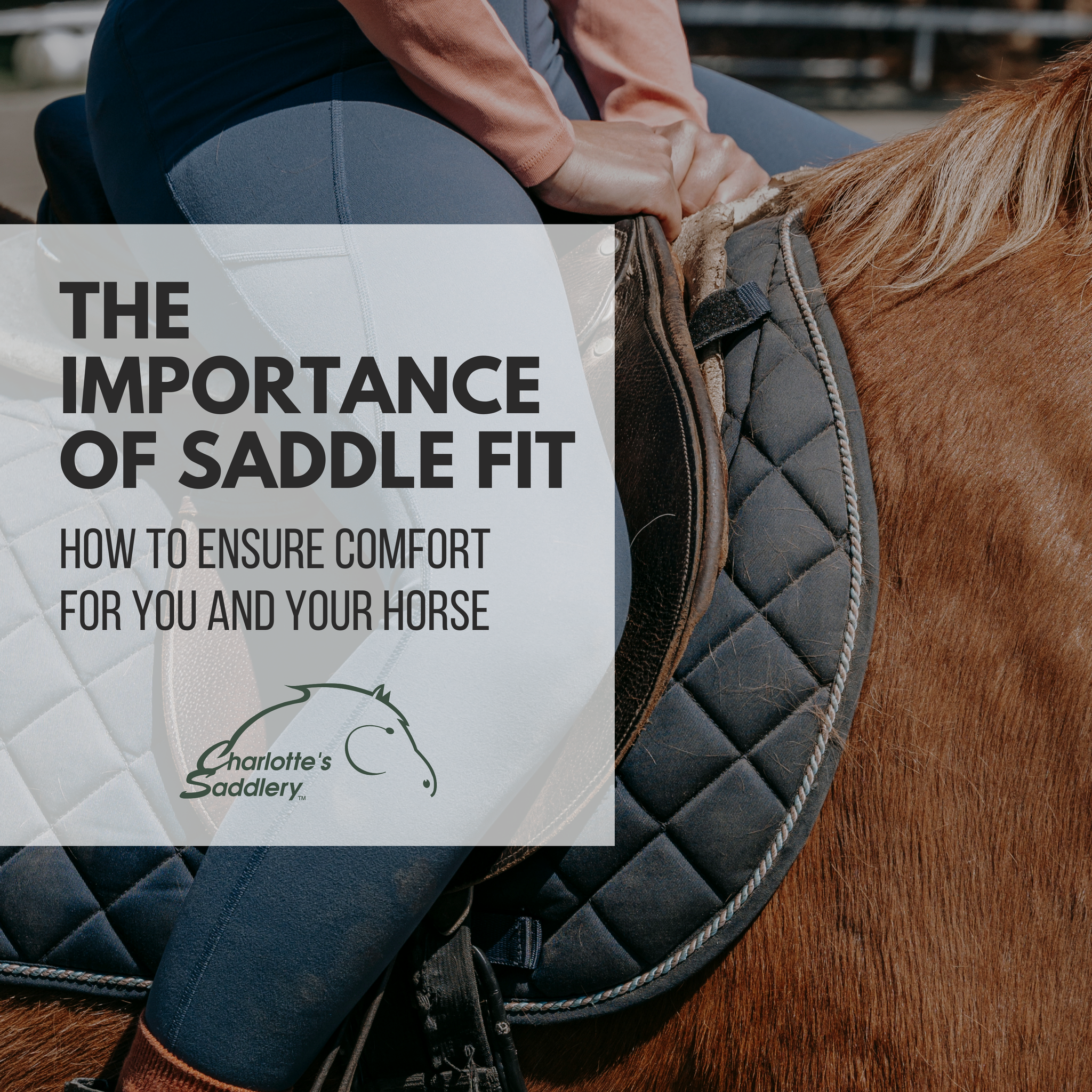 The Importance of Saddle Fit: How to Ensure Comfort for You and Your Horse