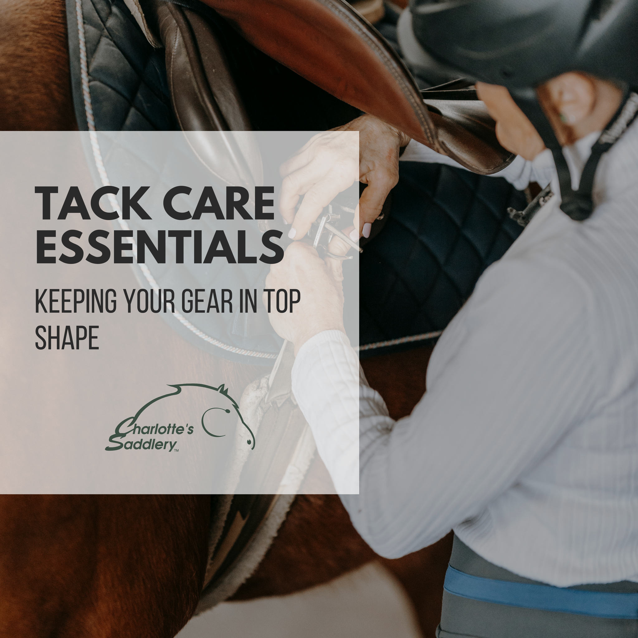 Tack Care Essentials: Keeping Your Gear in Top Shape