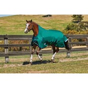 Weatherbeeta Weatherbeeta ComFiTec Plus Dynamic II High Neck Medium