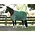 Weatherbeeta Weatherbeeta ComFiTec Prelim Standard Neck Lite