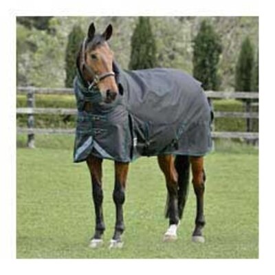 Weatherbeeta Weatherbeeta ComFiTec Plus Dynamic II Detach-A-Neck Medium