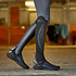 Ariat Ascent Half Chap