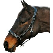 HDR Fancy Padded Halter Black Cob