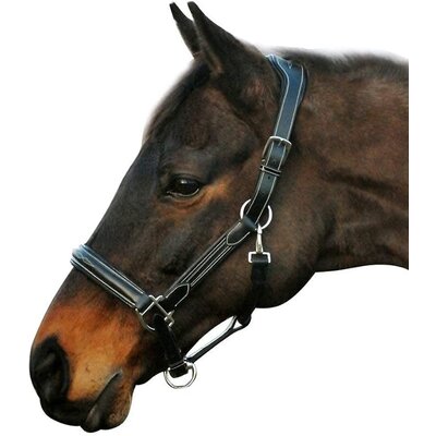 HDR Fancy Padded Halter Black Cob