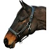 HDR Fancy Padded Halter Black Cob