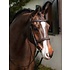 LeMieux LeMieux Stitched Hunter Bridle with Laced Reins