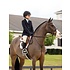 LeMieux LeMieux Stitched Hunter Bridle with Laced Reins