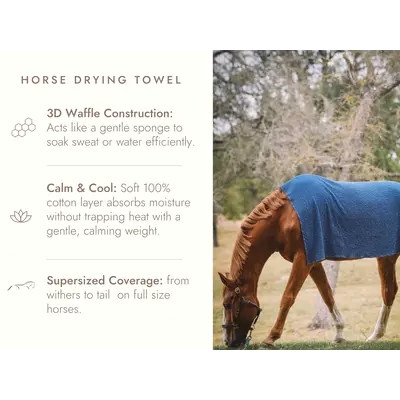 Sixteen Cypress Sixteen Cypress Cotton Waffle Horse Drying Towel