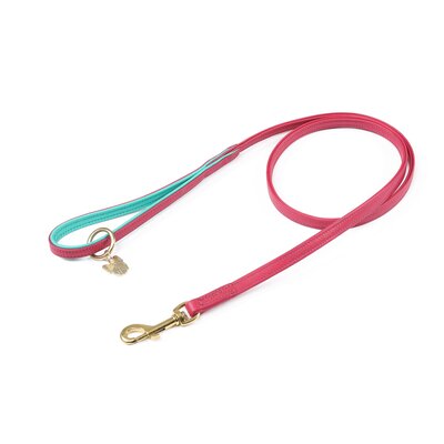 Digby & Fox Digby & Fox Padded Leather Dog Lead