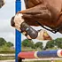 Arma ARMA Carbon Tendon Boots