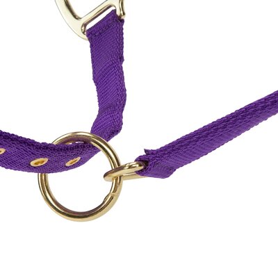 Arma ARMA Fleece Headcollar