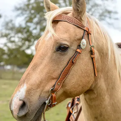 Circle Y Circle Y - Dawson Browband Headstall 5/8" - Vintage