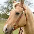Circle Y Circle Y - Dawson Browband Headstall 5/8" - Vintage