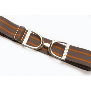 Hutson x Ellany Ellany Ophelia - 1.5” Gold Stirrup Elastic Belt
