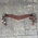 Circle Y Circle Y Rosewood Tripping Breast Collar