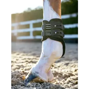 LeMieux LeMieux EXO Flex Fetlock Boot Blk/Slv