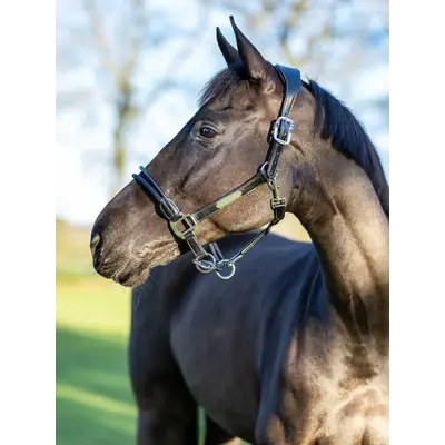 LeMieux LeMieux Rope Control Halter