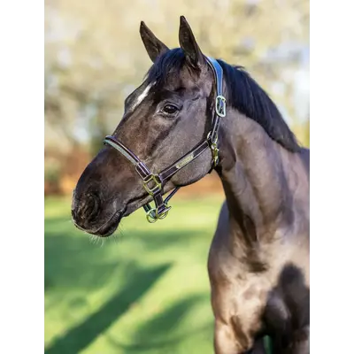 LeMieux LeMieux Rope Control Halter