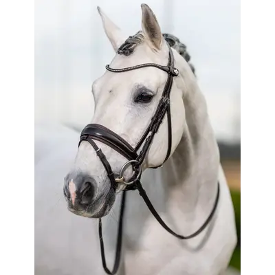 LeMieux LeMieux Kudos Classic Dressage Bridle