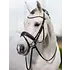 LeMieux LeMieux Kudos Classic Dressage Bridle