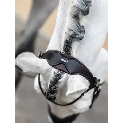 LeMieux LeMieux Kudos Classic Dressage Bridle