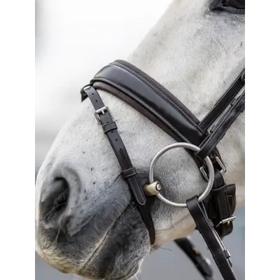 LeMieux LeMieux Kudos Classic Dressage Bridle