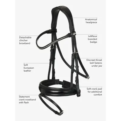 LeMieux LeMieux Kudos Classic Dressage Bridle