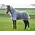 Weatherbeeta Weatherbeeta Comfitec Ripshield Plus w/ Belly Wrap & Detach-A-Neck