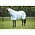 Weatherbeeta Weatherbeeta Comfitec Sweet Itch Shield Combo Neck