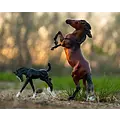 Breyer Breyer - Wild & Free Horse & Foal Set (Retired)