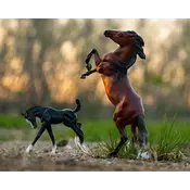 Breyer Breyer - Wild & Free Horse & Foal Set (Retired)