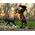 Breyer Breyer Wild & Free Horse & Foal Set