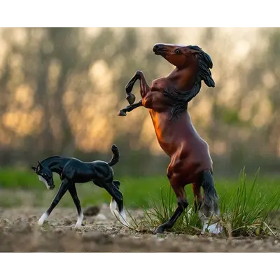 Breyer Breyer Wild & Free Horse & Foal Set