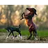 Breyer Breyer - Wild & Free Horse & Foal Set (Retired)