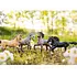 Breyer Breyer Poetry in Motion Gift Set