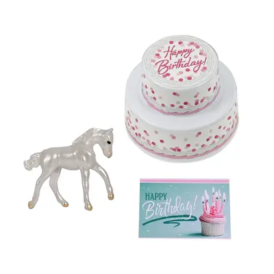 Breyer Breyer - Birthday at the Barn Set