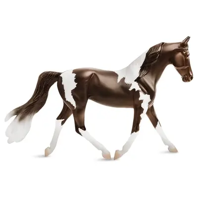 Breyer Breyer Pinto
