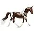 Breyer Breyer Pinto