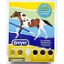 Breyer Breyer Little Bits Paint & Play: Thoroughbred Kit