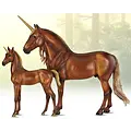 Breyer Breyer Cyrus and Solana