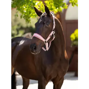 LeMieux LeMieux Spring 25’ Versailles Halter